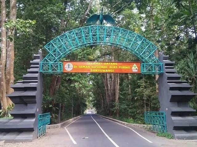 Taman Nasional Alas Purwo