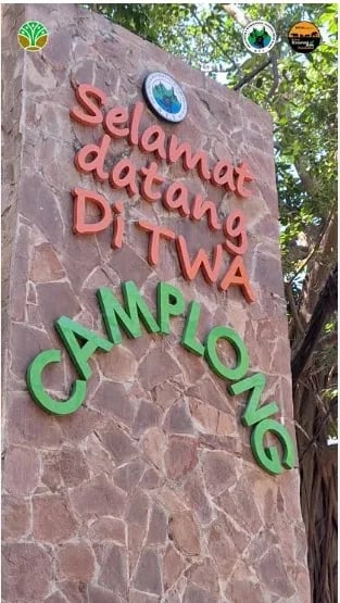 TWA Camplong